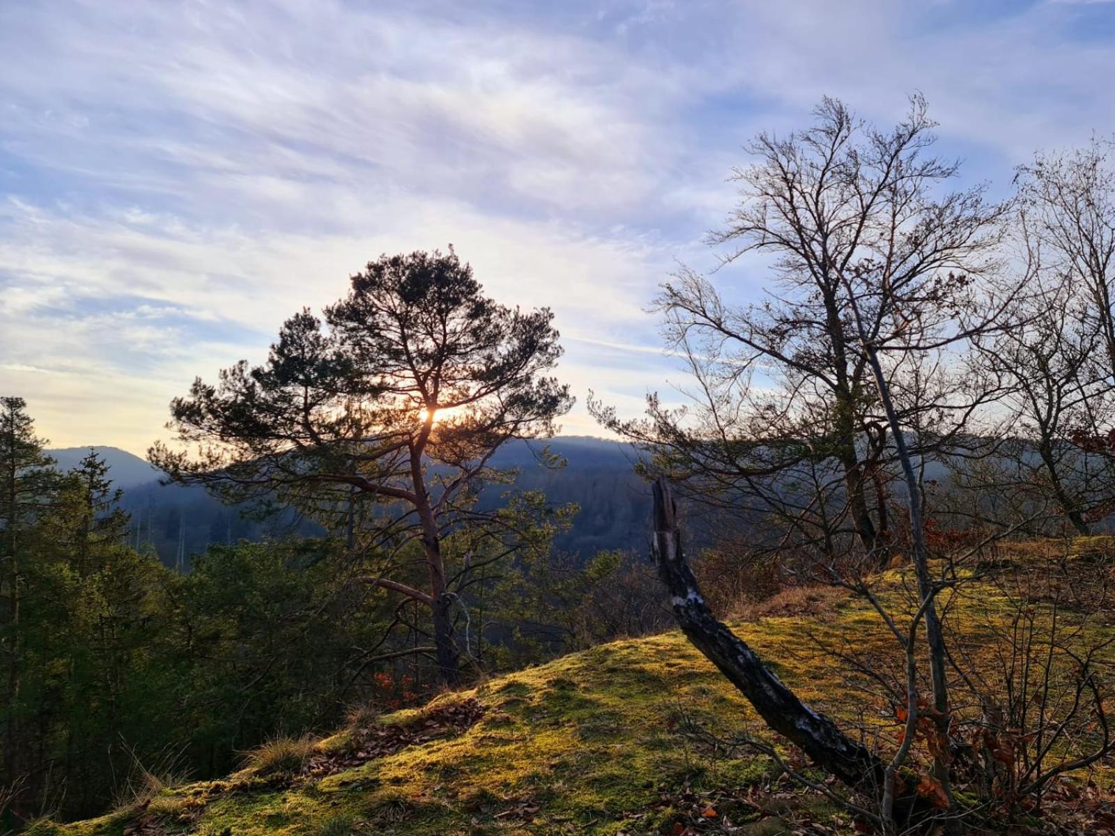 Ferienhaus Schoene Aussicht Ferienwohnung Rot Hemfurth-Edersee Dış mekan fotoğraf